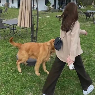 破碎的心